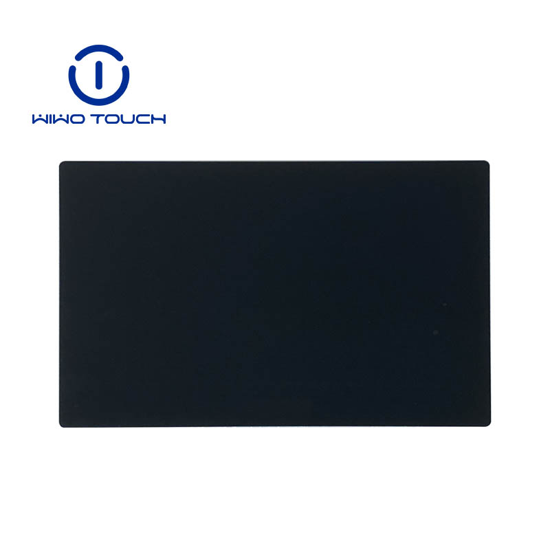 Wiwotouch 12.5 inch LCD Non-touch Screen Module